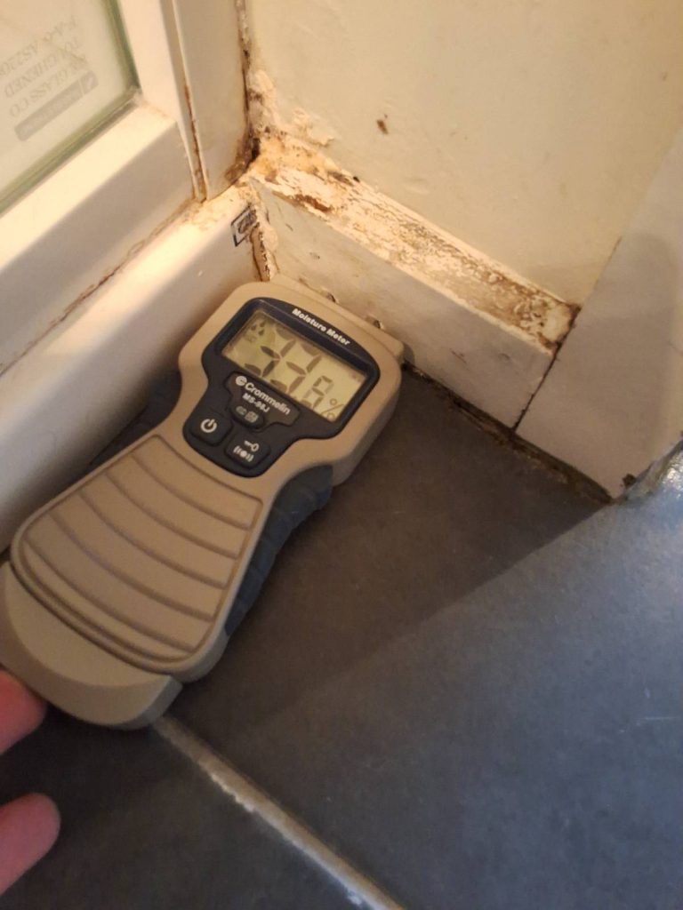 moisture, mould & rising damp testing hobart
